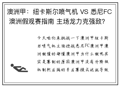 澳洲甲：纽卡斯尔喷气机 VS 悉尼FC 澳洲假观赛指南 主场龙力克强敌？